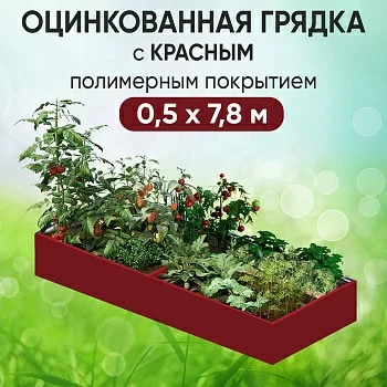 Грядка красная (0,5 х 7,8)
